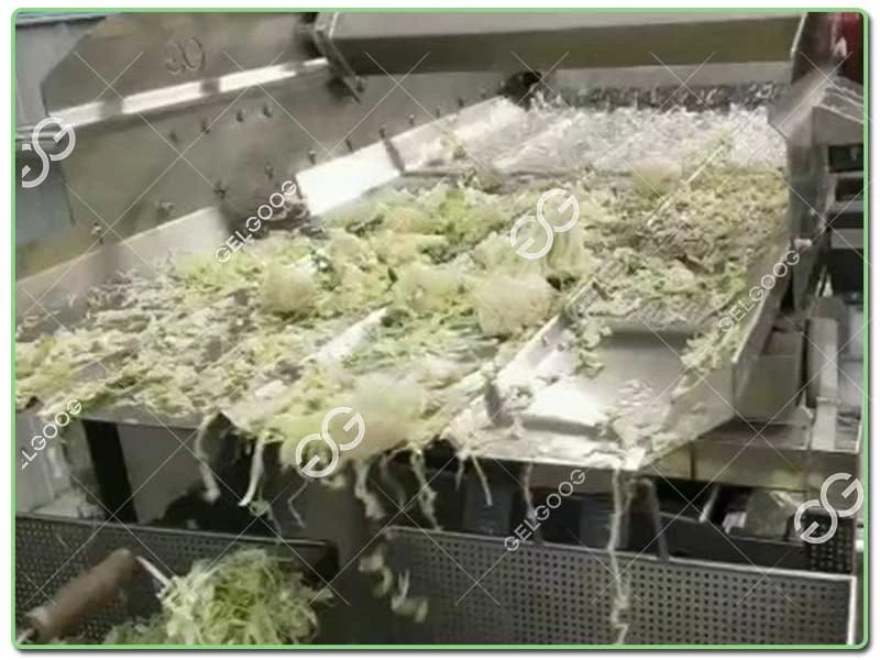 fresh-cut-processing-lines