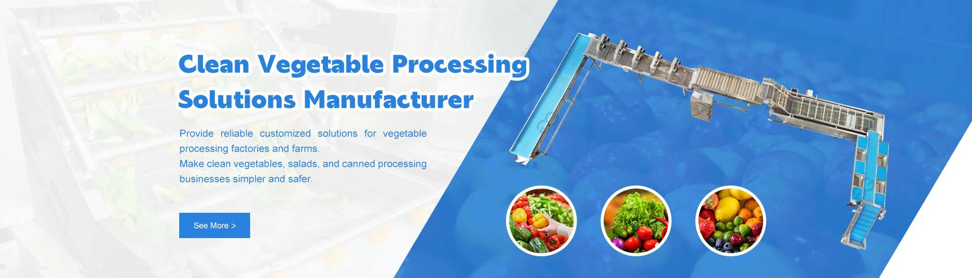 Fruit Vegetable Washing Line